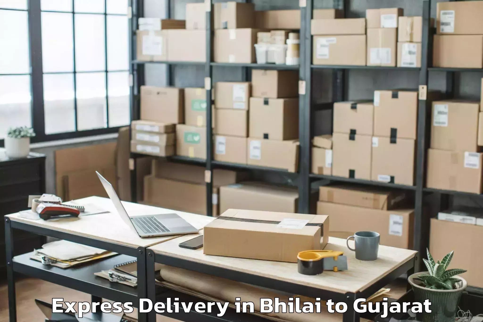 Expert Bhilai to Abhilashi University Rajkot Express Delivery